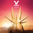 27KW30_Yasha-Weltraumtourist-Cover_web