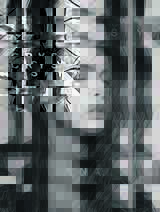 Crystal Sky: Das neue Album von Lena Meyer-Landrut. FOTO: 